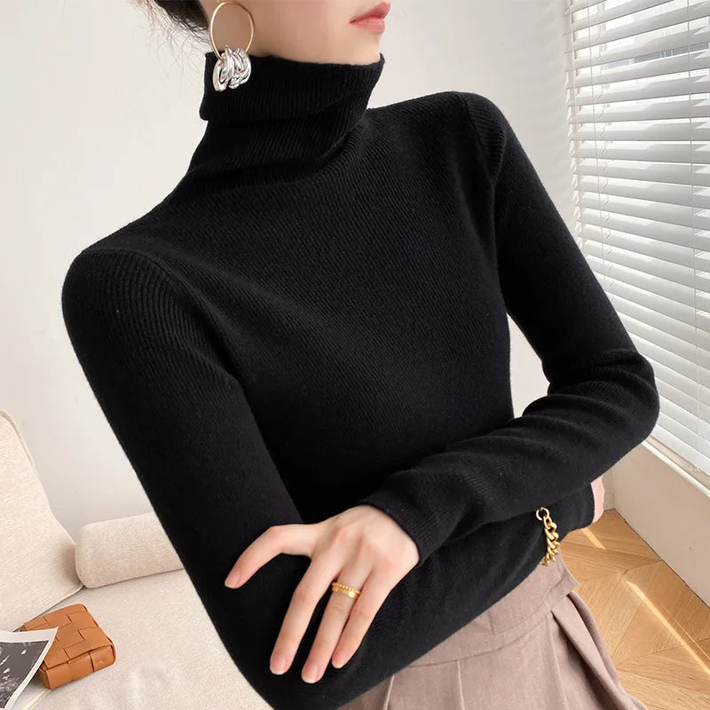 Caden Women's Slim Fit Sweater | Fine Rib Knit Turtleneck 7