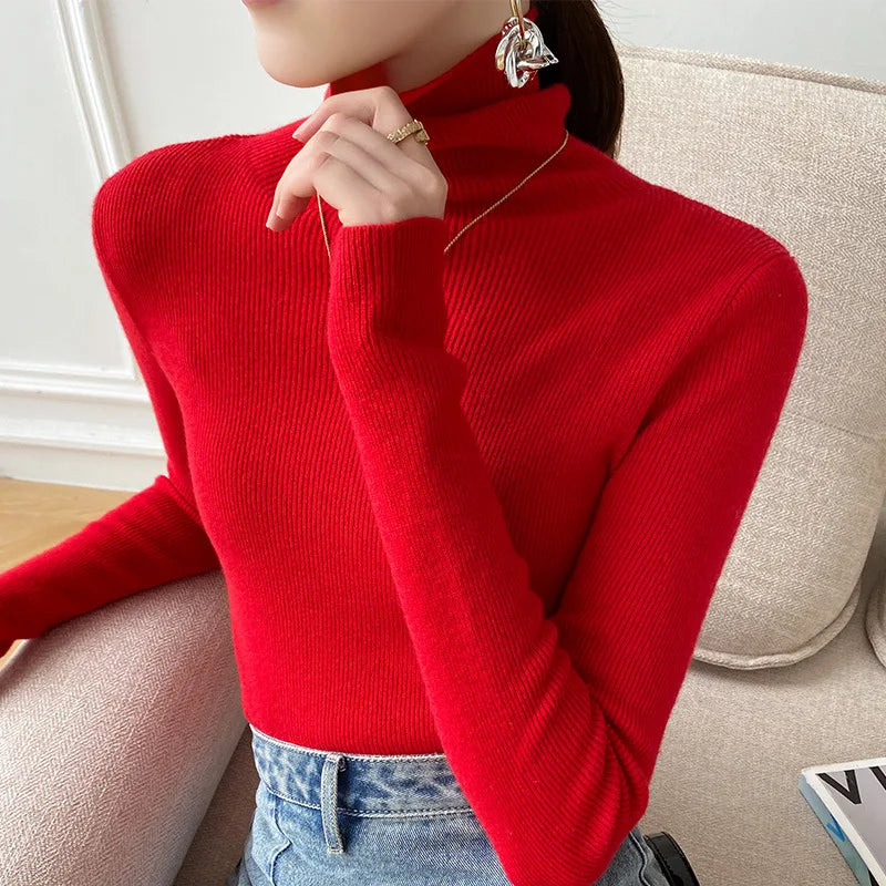 Caden Women's Slim Fit Sweater | Fine Rib Knit Turtleneck 4